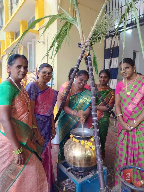 Lord Lions School Sivakasi Pongal Celebration
