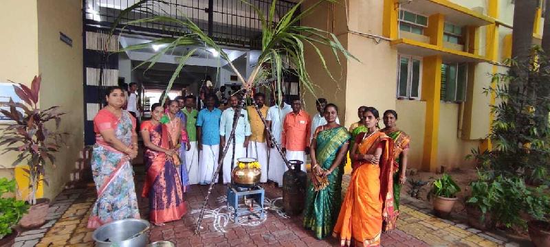 Lord Lions School Sivakasi Pongal Celebration